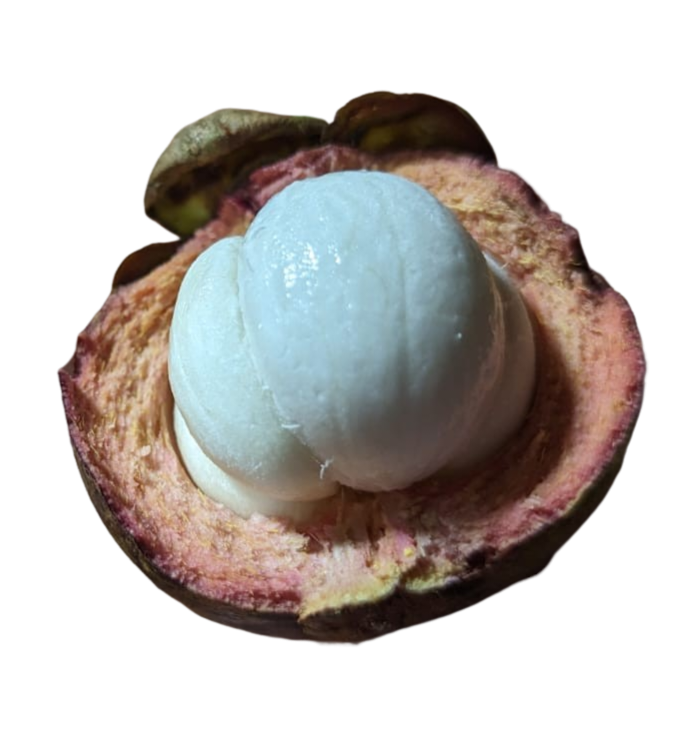 Fruit I Ate in Thailand